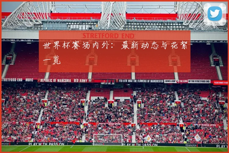 世界杯赛场内外：最新动态与花絮一览