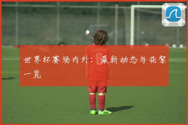 世界杯赛场内外：最新动态与花絮一览